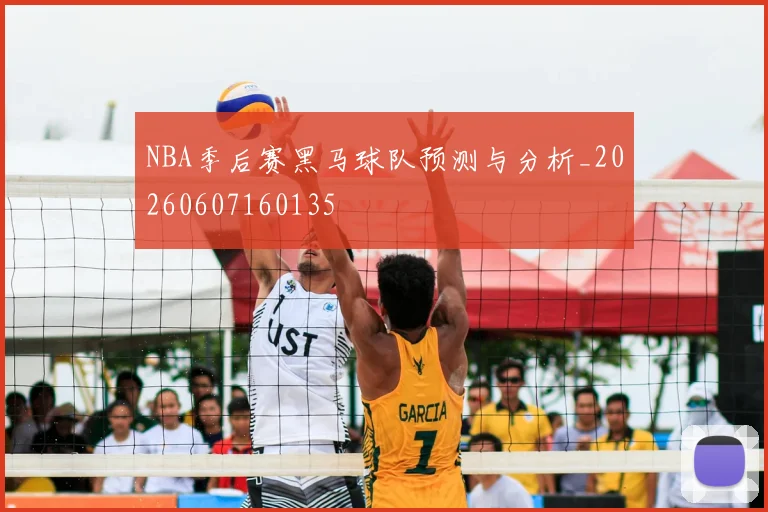 NBA季后赛黑马球队预测与分析_20260607160135