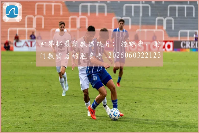 世界杯最新数据统计：控球率、射门数背后的胜负手_20260603221230